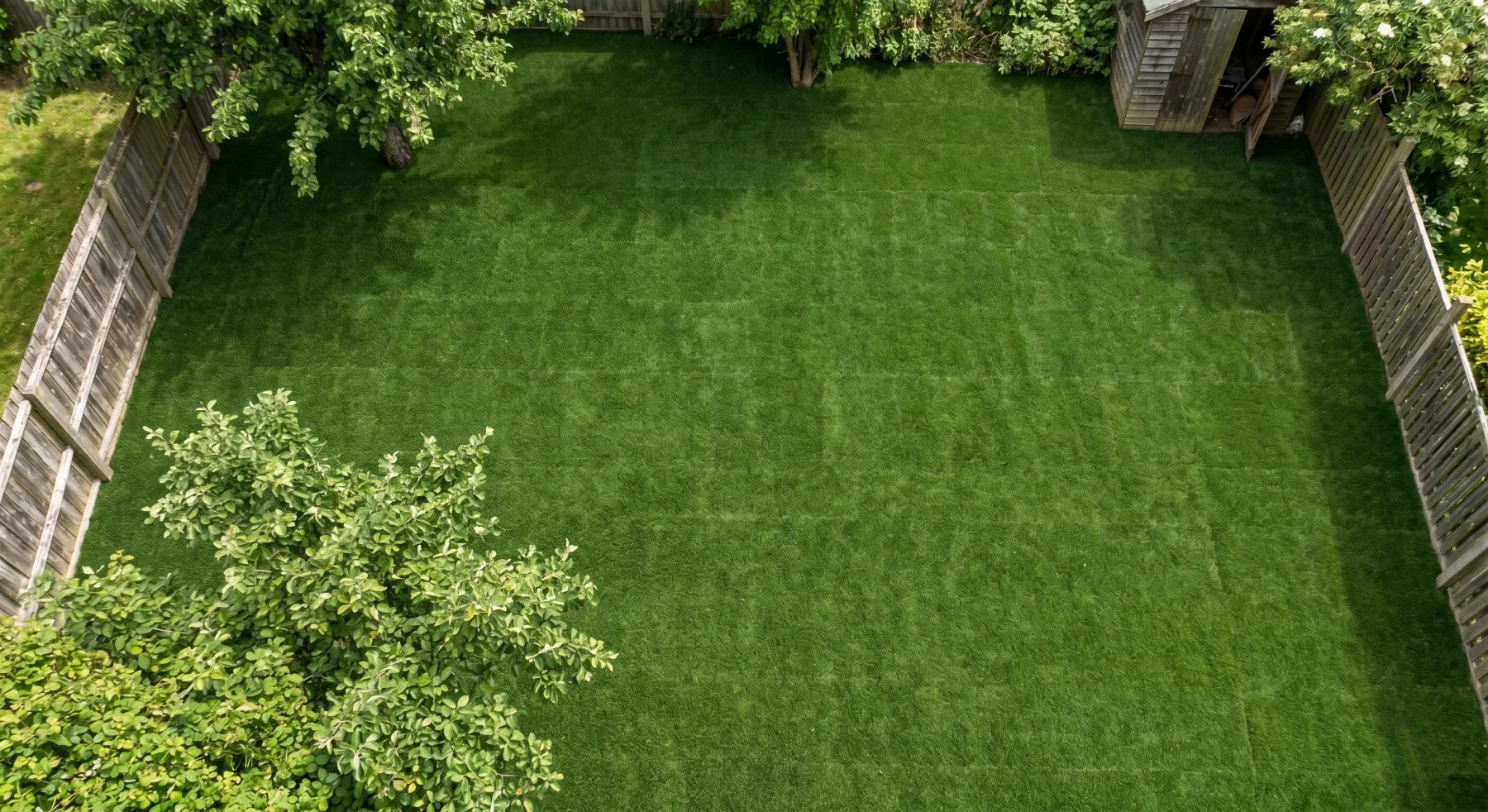 Turf after restoration
